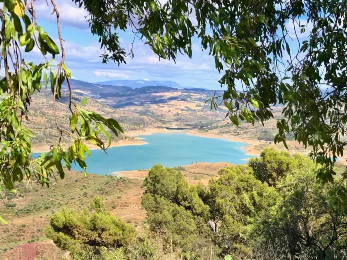 فيلا الجودوناليسفي El Oasis المظهر الخارجي الصورة