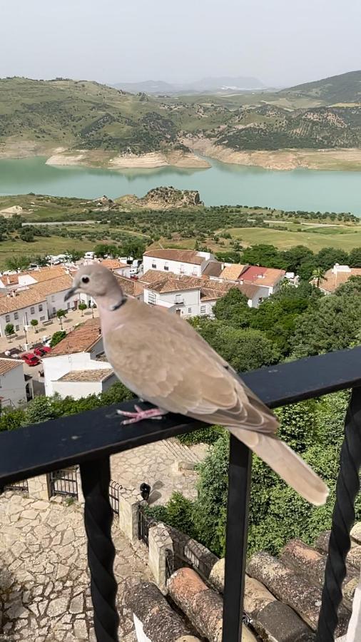 فيلا الجودوناليسفي El Oasis المظهر الخارجي الصورة